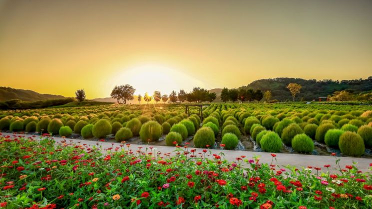 연천군, '접경지역 발전 유공' 국무총리 표창 수상
