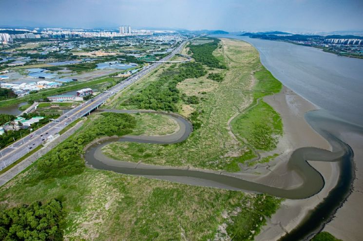 고양 장항습지, 어떻게 3만 마리 철새의 낙원이 됐나?