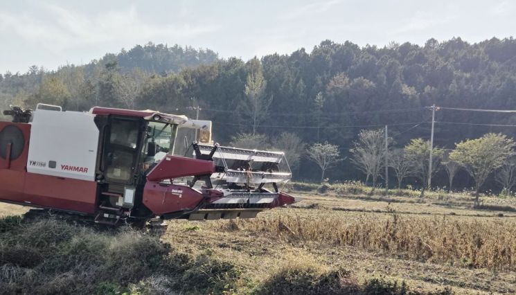 강진군, 전략작물직불금 45억 지급…논 타작물 재배 농가 지원