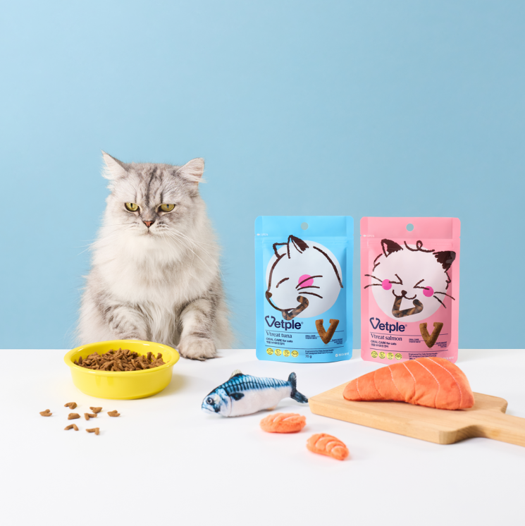 동아제약, 고양이 구강 건강 '벳플 브이트릿 2종' 출시