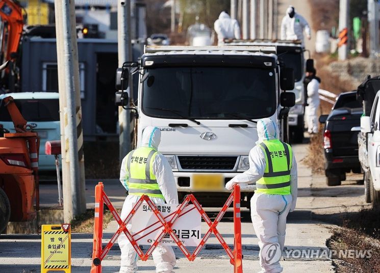 정부 "올 겨울 고병원성 AI 바이러스 감염력 10배↑"