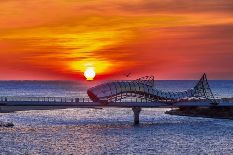 동해 첫 해, 이제는 KTX타고 울진!… 해맞이 관광 ‘시동’