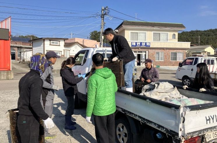 부산 기장군, 다시마 종자 자체 생산 첫 성과… 26개 어가 현장 분양