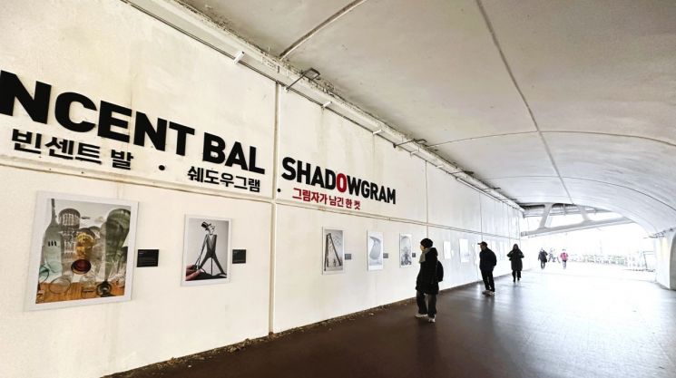 송파구 석촌호수 호수교갤러리, 연말 이색 전시