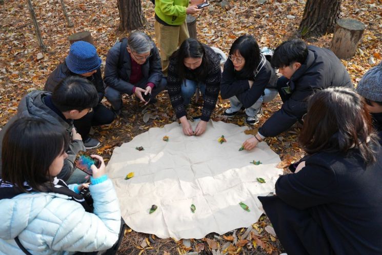 강원관광재단, ‘감탄로드’로 폐광지역 경제 활성화…목표 대비 5배 달성