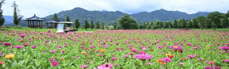 '탄소중립' 선도하는 거창군, 미래형 녹색도시 준비