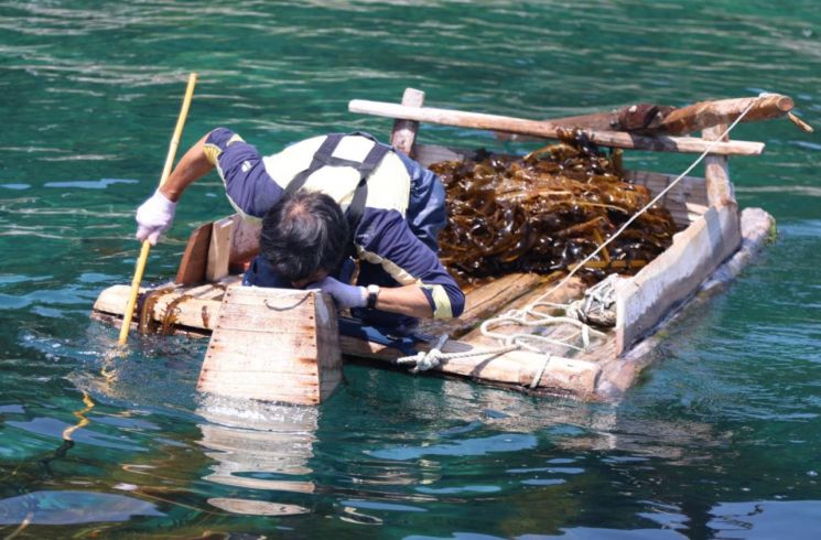 강릉시, 해양수산 분야 325억 집중 투자…어촌경제 활력 찾는다