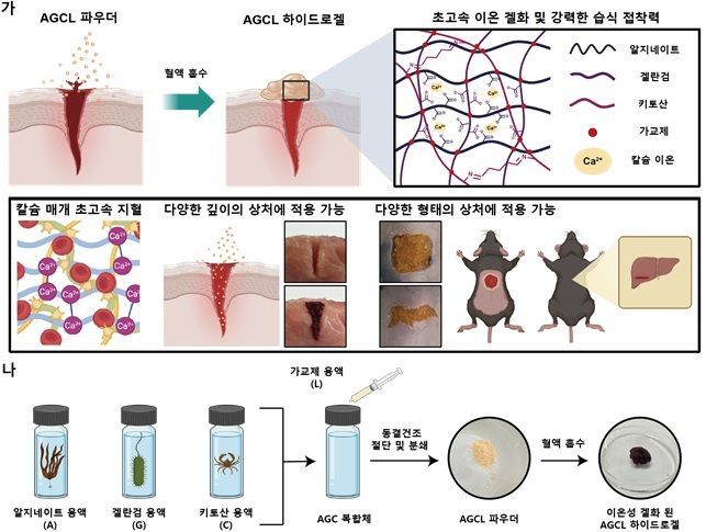 뿌리면 1초 내 지혈…전투원 생존성 높이는 차세대 기술 개발[과학을읽다]