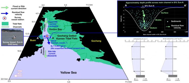 "갯벌 물색만 봐도 안다"… KIOST, 서해안 갯벌 탁도-부유물질 농도 상관관계 밝혀