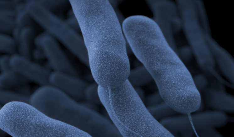 치사율 최대 80%…오염된 병원 물에 환자 2명 사망