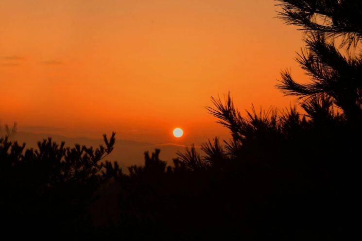 성남시, 판교 마당바위서 신년 해맞이…천제봉행·국악 공연 풍성