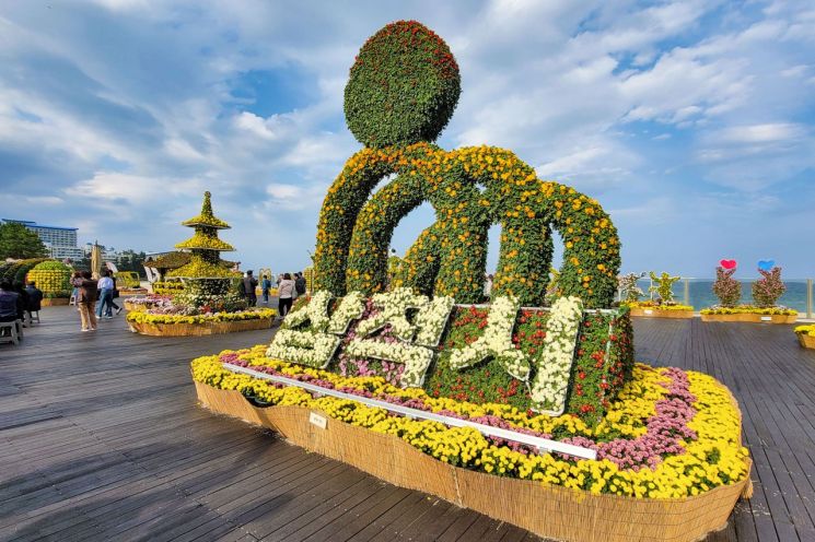 삼척시, ‘삼척 국화전시회’ 26만명 방문…가을 관광 효자 노릇 톡톡