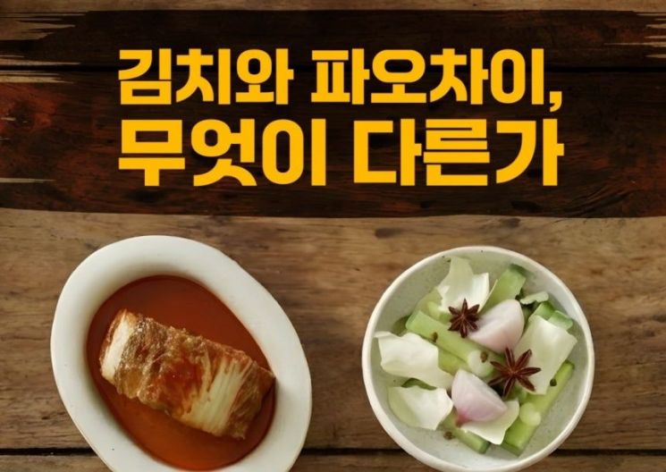 "김치와 파오차이는 다른 음식"…문세윤·서경덕 손잡았다 