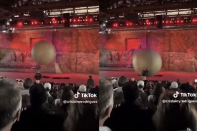 181㎏ 바위 공 몸으로 막아…아이들 지킨 디즈니월드 직원