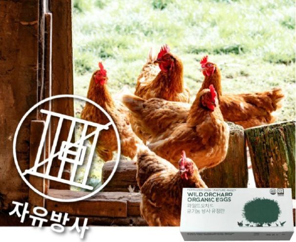 에그앤씨드 "난각번호 1번 제주 유기농 방사 유정란 선봬"