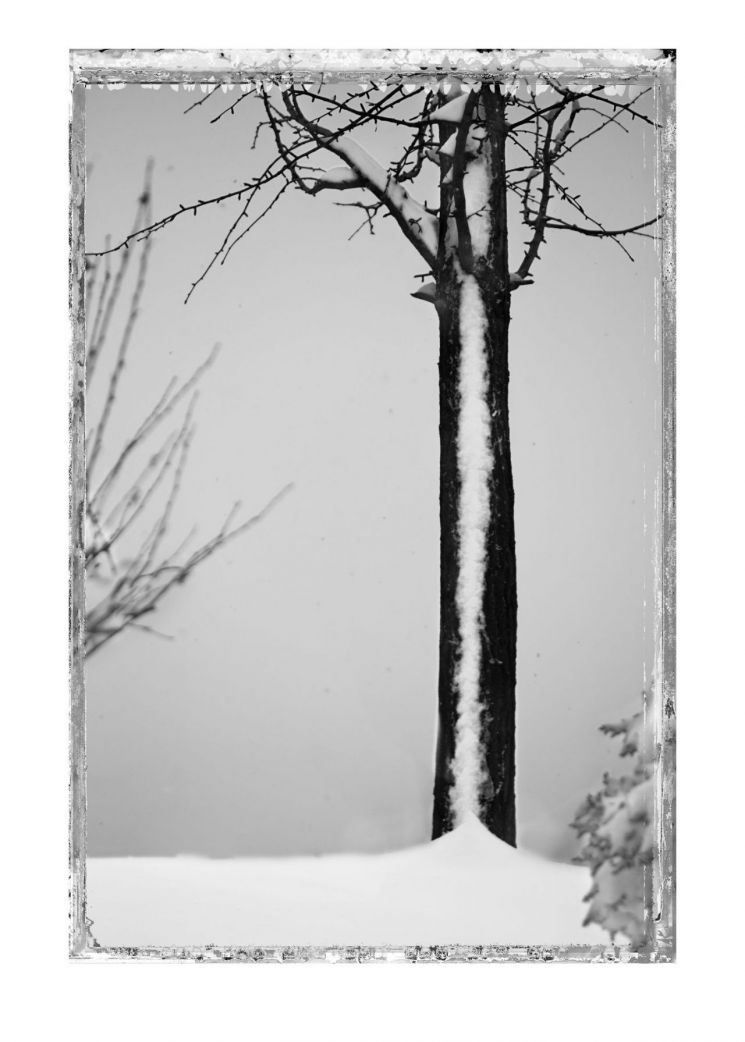 사진작가 김중만이 '상처 난 거리'에서 마주한 10년의 시간들