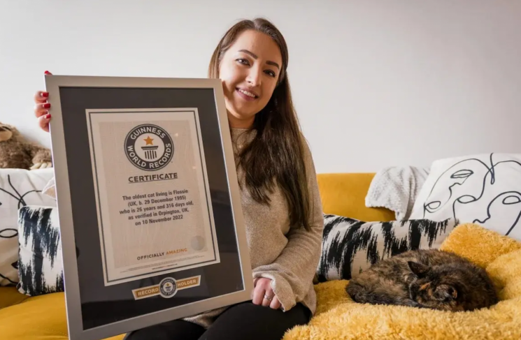 사람이면 무려 136세…세계 최고령 고양이 장수 비결, 뭐가 달라도 다르겠지?