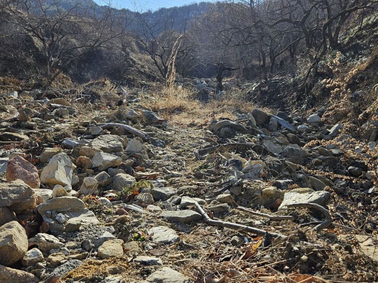 [단독] 산청군, 77세 농민 수해의 상처 … 행정은 없고 '눈물'뿐