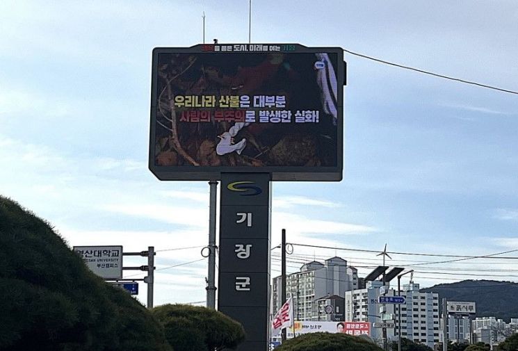부산 기장군, 교리삼거리 대형 재해문자전광판 정식 운영