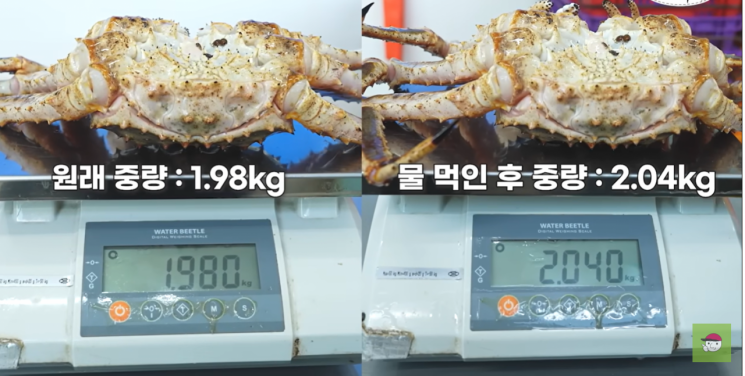 "그만 올려라, 상인들 벼르고 있다"…수산물 '저울치기' 폭로 뒤 돌아온 협박