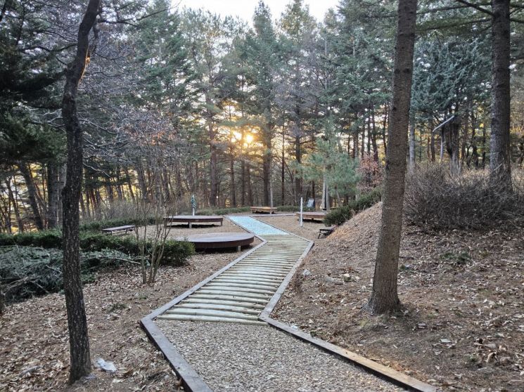 정선군, 비봉산 산림공원 새단장 완료…‘정원도시’ 도약 박차