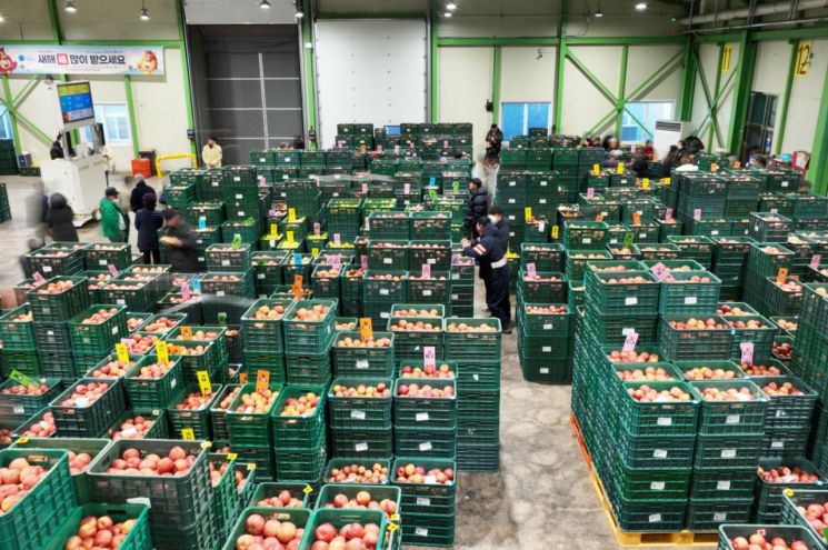 겨울 깨운 '첫 종소리'… 올해 청송군 농산물산지공판장 초매식 개최
