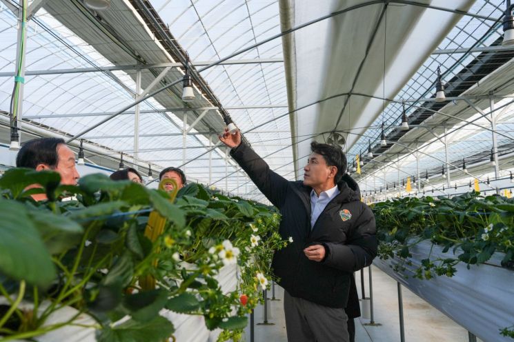 김진태 지사, 양구 시설원예 농가 점검…"겨울 딸기, 강원도 효자목으로 육성"