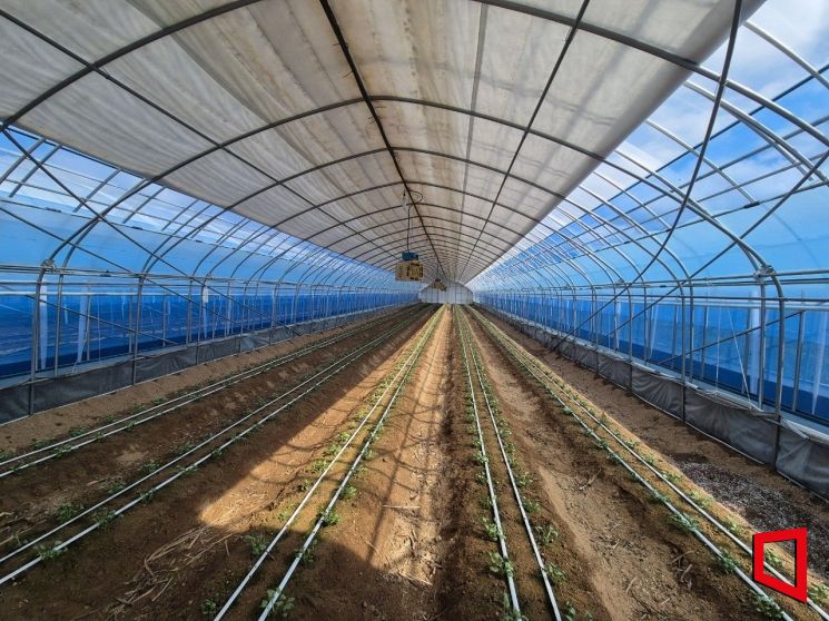 농업의 바통, 봉화에서 다음 세대로 건네진다