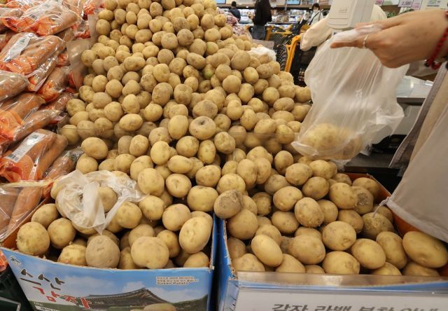 식당서 자취 감추는 감자…"가격 강세 5월까지 계속"