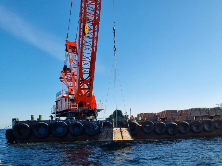 양양군, 해삼특화양식단지 조성 후 해삼 생산량 전년 대비 31.4% ↑