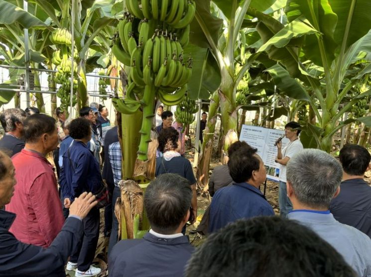 “짓는 농업에서 버는 농업으로”… 포항시, 61억원 투입 농업 대전환 추진