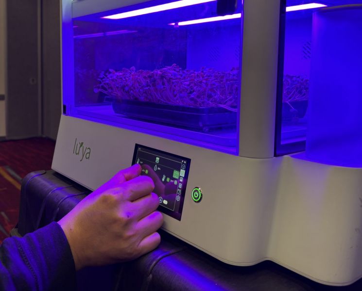 [인터뷰]월 29달러 구독 AI식물가전…LG에 도전장 낸 美 스타트업[CES 2026]