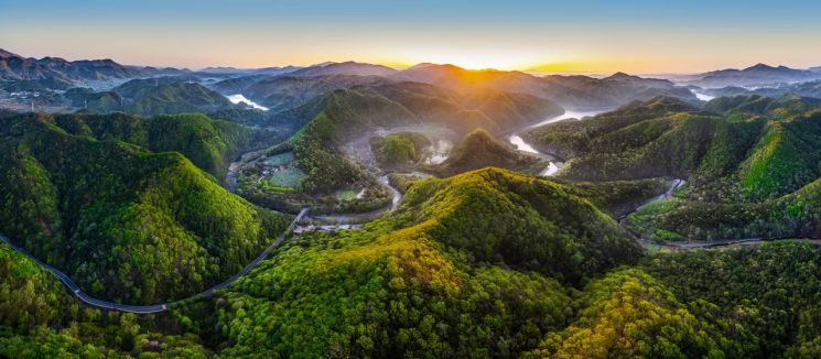 돌에 새긴 고래… 울산암각화박물관 ‘반구천의 암각화’ 세계유산 등재 후, 관람객 ‘물결’
