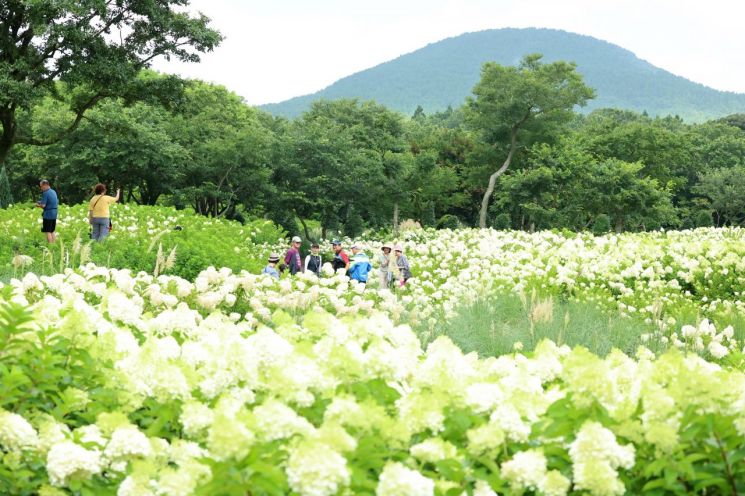 제주 구좌읍 송당리 동화마을. 연합뉴스