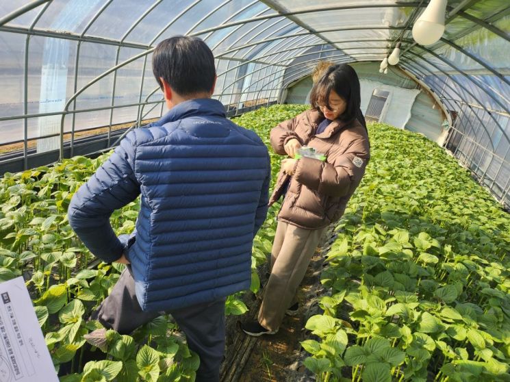 고양시, 시설채소 농가에 에너지 절감 현장기술 지원