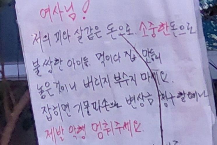 "내 피같은 돈으로 밥주는 것"…어느 '캣맘'이 작성한 호소문