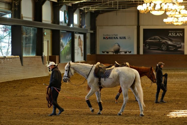 럭셔리호텔·승마·골프까지…롯데百, VIP '에비뉴엘' 혜택 강화
