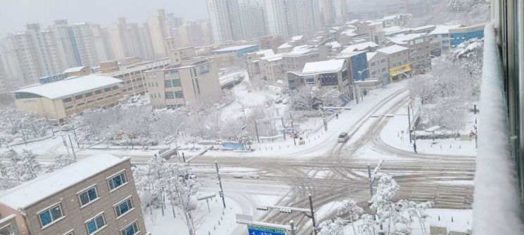 강추위 속 전남도청 19.7㎝ 눈 폭탄…바닷길 일부도 통제 