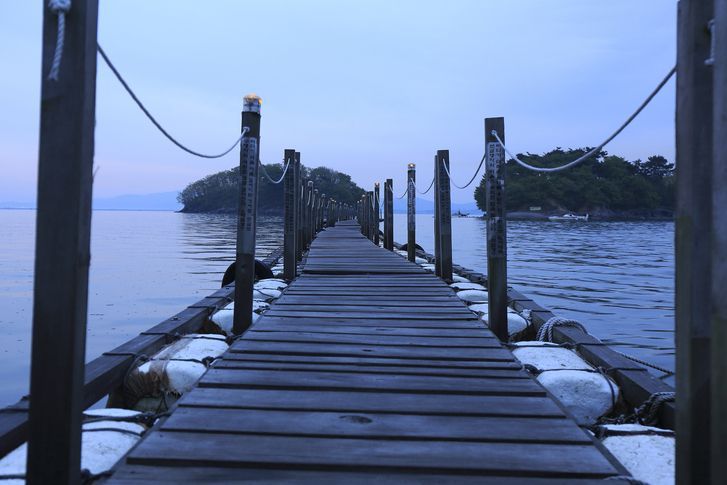 "이제 우리만 못 가네" NYT서 찜했다…'한국판 산티아고 순례길' 어디