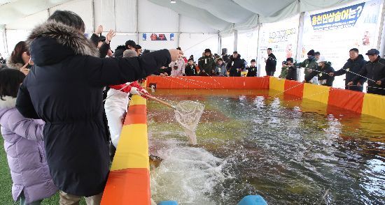 '한국 맞아?' 역대급 강풍에도…"물고기 잡아야" 홍천강 꽁꽁축제 북적