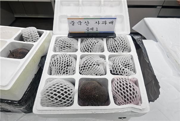 중국산 농산물 1150t 불법 수입 적발…'역대 최대'