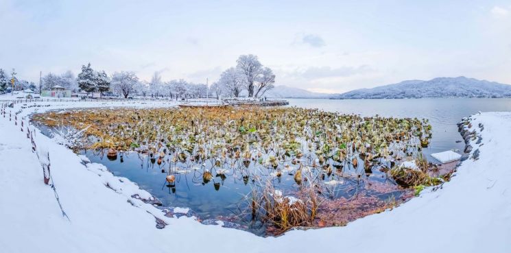 양평 두물머리, 대만 예능 타고 ‘글로벌 핫플’ 도약