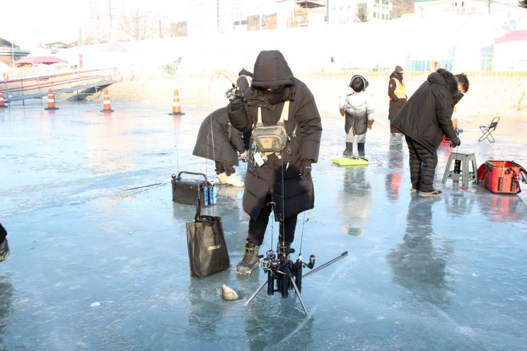 홍천강 꽁꽁축제, 개막 3일 만에 5만8000명 돌파…‘인삼 송어’ 열풍