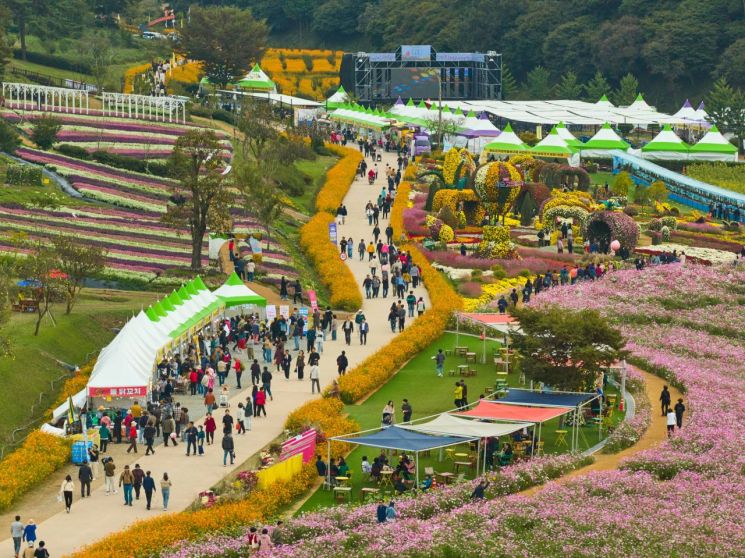 화순 고인돌 가을꽃 축제 '3년 연속' 대한민국축제콘텐츠대상