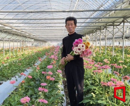현장에서 증명된 꽃의 경쟁력, 봉화 농업의 답이 되다