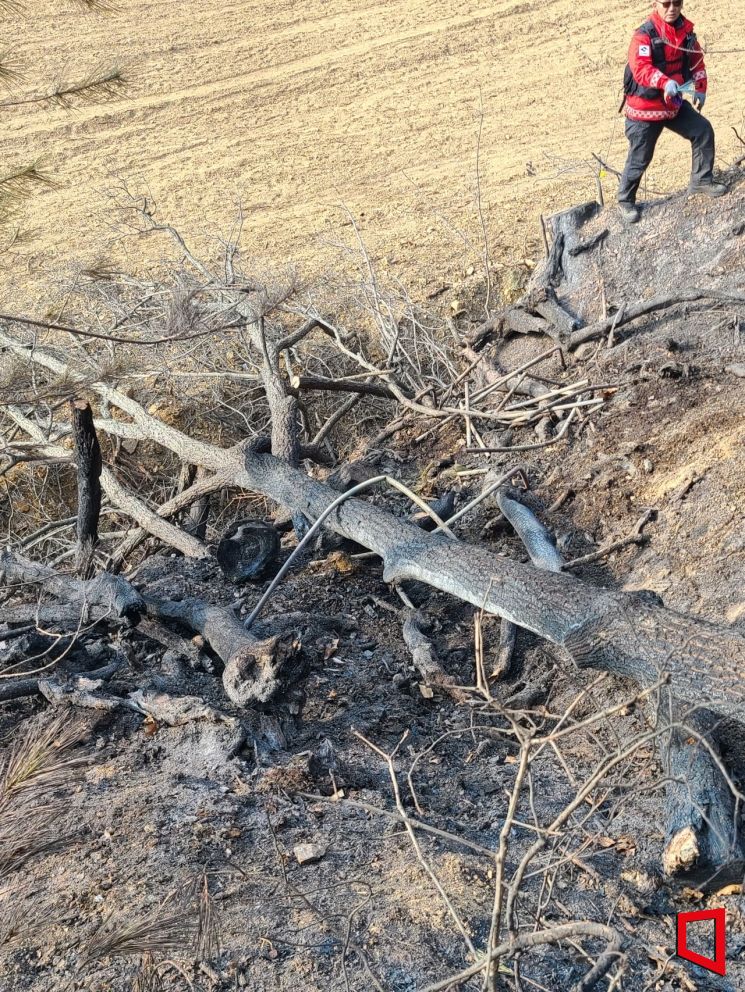 의성 산불, ‘3시간의 사투’로 막아냈다…이제는 원인에 답할 차례