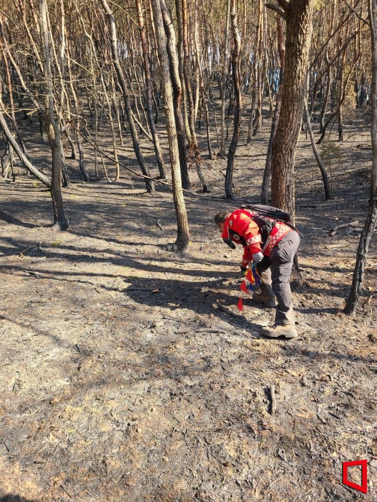 의성 산불, ‘3시간의 사투’로 막아냈다…이제는 원인에 답할 차례