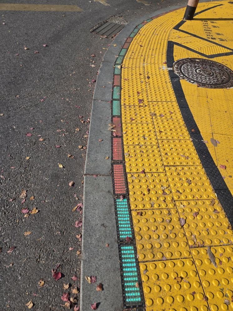 경기지역 '바닥형 보행신호등' 44% 오작동