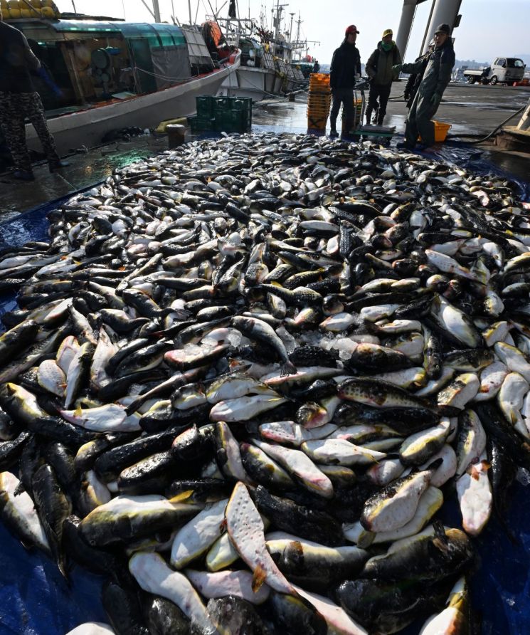 냉동실 생선 튀겨 먹고 '어지럼증·마비' 증세…줄줄이 병원행