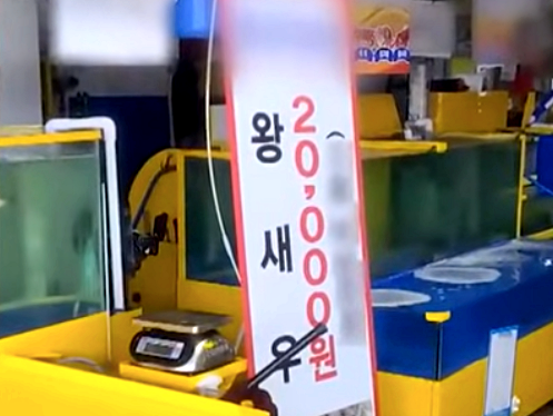 "왜 싸게 파냐" 담합 거절에 흉기 위협 소래포구 상인 송치